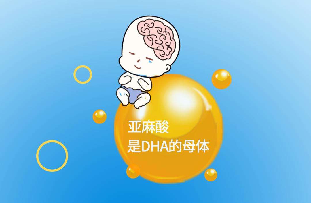 怀孕后要不要补充DHA？DHA有什么好处？