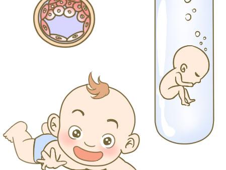 试管婴儿知识专题_试管婴儿过程_试管婴儿成功率