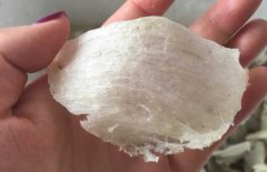 孕妇几个月吃燕窝最好 孕妇吃燕窝有什么好