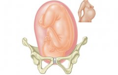 胎儿入盆是什么感觉 具体症状有哪些