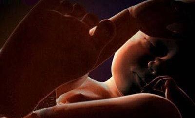 专家介绍怀孕五个月胎儿图 胎儿心跳活跃可自由(4)