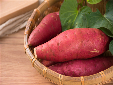 板栗红薯是转基因食品吗
