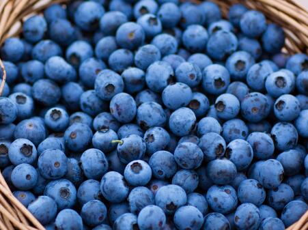 孕妇一天吃蓝莓多少合适