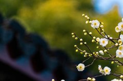 【孩子晚上不睡觉的危害】孩子晚上不睡觉的