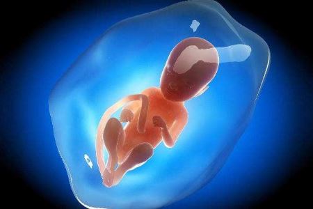 两大原因会导致胎儿发育异常