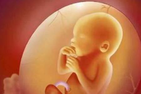 两大原因会导致胎儿发育异常